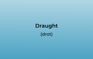 How to pronounce draughts