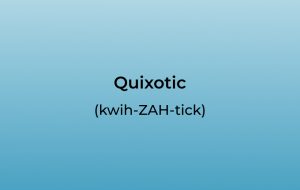 How to Pronounce Quixotic