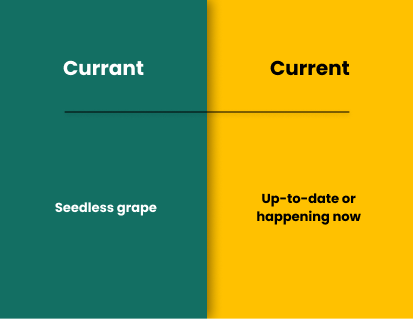 Currant vs Current