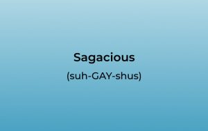 How to Pronounce Sagacious