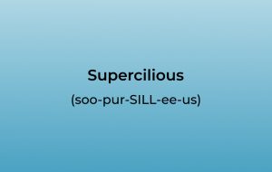 How to Pronounce Supercilious