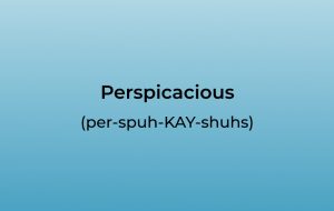 How to Pronounce Perspicacious