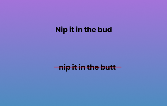 Nip it in the bud