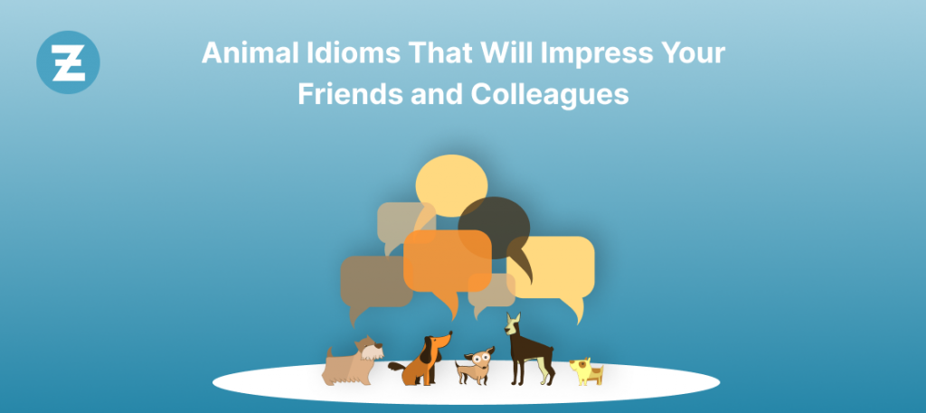 Animal Idioms That Will Impress Your Friends and Colleagues