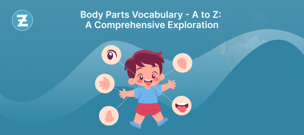 Body Parts Vocabulary, A to Z: A Comprehensive Exploration
